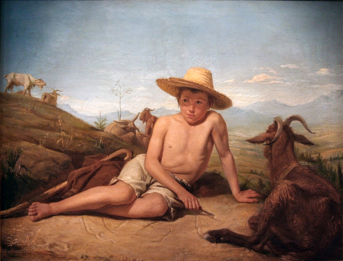giotto keeping goats